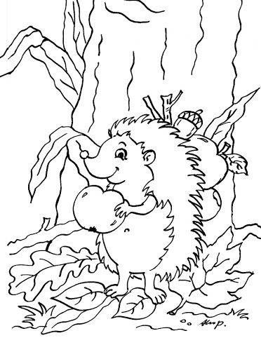 Kolorowanka jeż zbierający jabłka